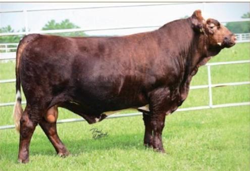 Featured image for “Grinalta’s HP Maverick”